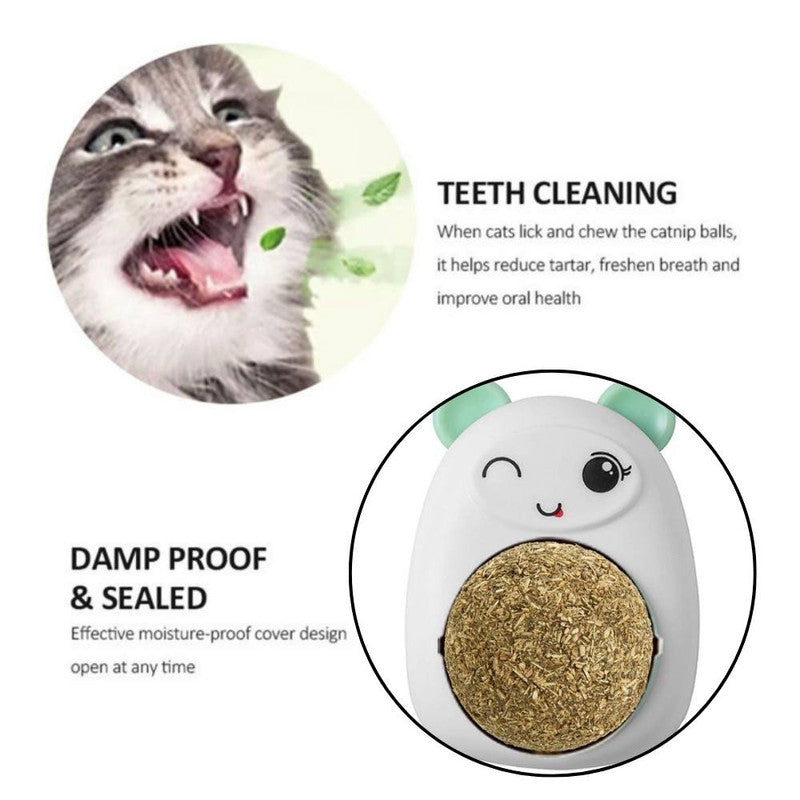 Set 3 Jucarii Mercaton pentru Pisicute, Model Ursulet, Minge Rotativa 360° din Iarba Catnip, 6 cm, Verde